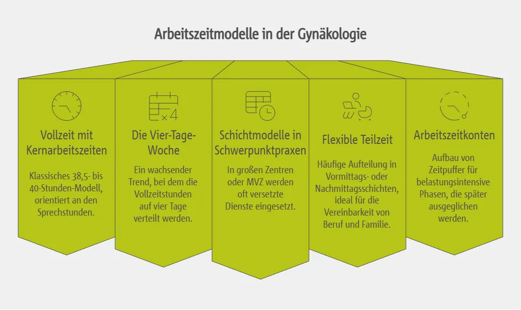 Arbeitszeiten einer MFA beim Frauenarzt: Modelle und Praxisbeispiele