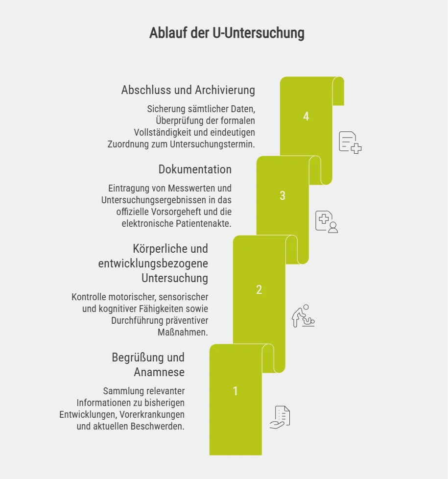 Ablauf der U-Untersuchung