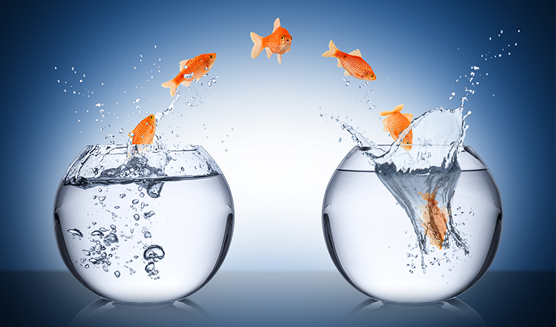 Bild zu Praxissoftware wechsel dich – die Mär vom "Ein-Klick-Systemwechsel"